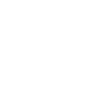 1963年，三得利开始其啤酒业务。与日本国内其他啤酒公司相比，起步较晚。正因为如此，才以开发世界顶级啤酒为目标，立志打造出所有人都爱喝的终极美味。"志在新，勇于行（Yatte Minahare）"三得利的DNA就是拼搏的原动力。挑战无尽梦想。认同向无尽梦想发起挑战的态度。The PREMIUM MALT'S由此获得新生。