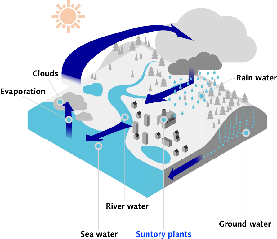 Water Cycle in a Catchment