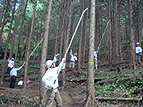 Employees pruning trees at a Natural Water Sanctuary