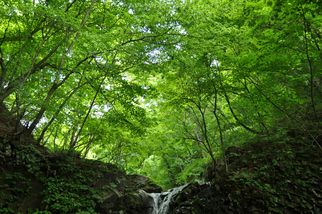 Natural Water Sanctuary Initiative -- For the future of water and life