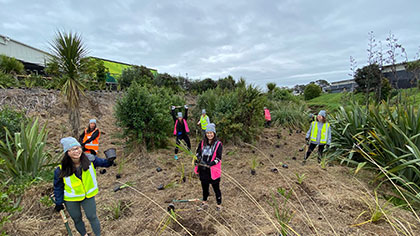 Planting trees close to the Puhinui Stream, Auckland