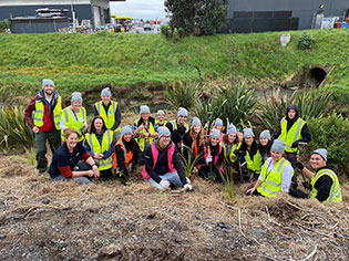 Planting trees close to the Puhinui Stream, Auckland