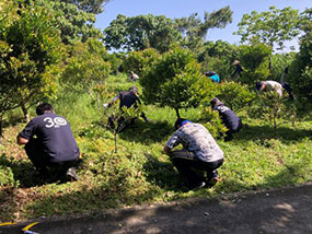 Volunteer for mowing and tree-planting in “Kuruchi no Mori Project in Yomitan”
