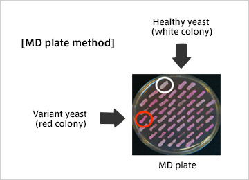 MD plate method