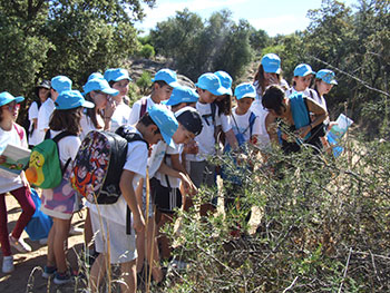 Suntory Mizuiku — Education Program for Nature and Water in Spain